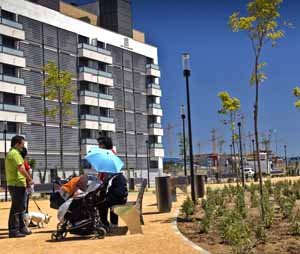El barrio de La Luna se viste de verde